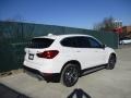 Alpine White - X1 xDrive28i Photo No. 4
