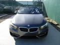 2016 Mineral Grey Metallic BMW 2 Series 228i xDrive Convertible  photo #6