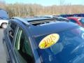 Magnetic Gray Metallic - RAV4 XLE Photo No. 10