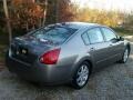 Coral Sand Metallic - Maxima 3.5 SL Photo No. 7
