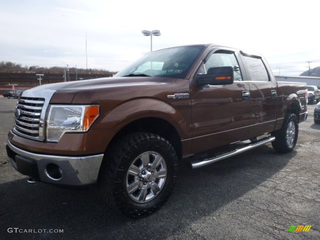 2012 F150 XLT SuperCrew 4x4 - Golden Bronze Metallic / King Ranch Chaparral Leather photo #8