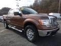 Golden Bronze Metallic - F150 XLT SuperCrew 4x4 Photo No. 10