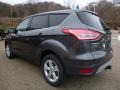 Magnetic Metallic - Escape SE 4WD Photo No. 5