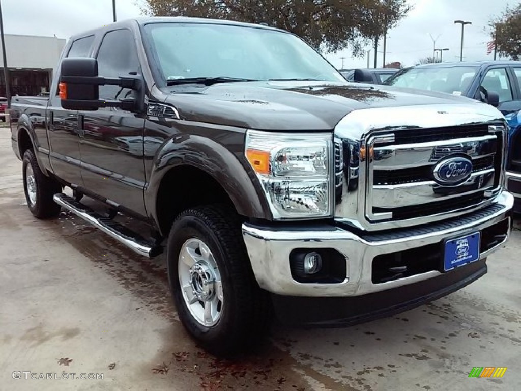 Caribou Metallic Ford F250 Super Duty