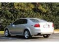 Alabaster Silver Metallic - TL 3.2 Photo No. 40