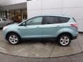 2013 Frosted Glass Metallic Ford Escape SE 1.6L EcoBoost 4WD  photo #2
