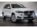 Mineral White Metallic - X5 xDrive35i Photo No. 11