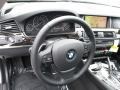 2016 BMW 5 Series Black Interior Steering Wheel Photo