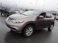 2012 Tinted Bronze Nissan Murano SV AWD  photo #6