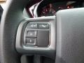 Billet Silver Metallic - Dart SE Photo No. 19