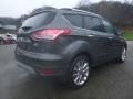 Magnetic Metallic - Escape SE 4WD Photo No. 2