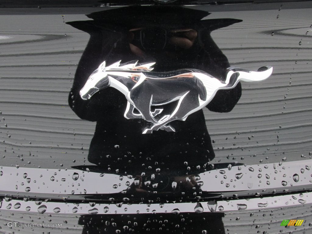 2016 Ford Mustang EcoBoost Coupe Marks and Logos Photos