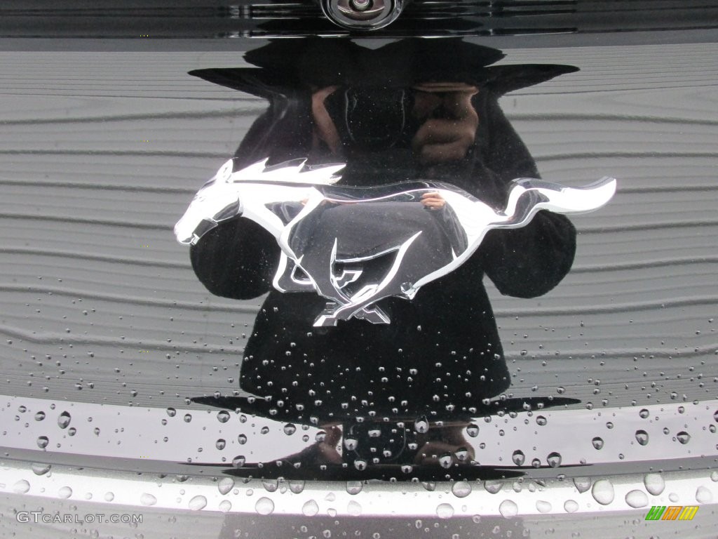 2016 Mustang EcoBoost Coupe - Magnetic Metallic / Ebony photo #14