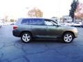 Cypress Green Pearl - Highlander Limited Photo No. 6