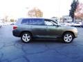 2008 Cypress Green Pearl Toyota Highlander Limited  photo #6