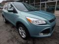 2013 Frosted Glass Metallic Ford Escape SE 1.6L EcoBoost 4WD  photo #2