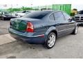 2005 Blue Graphite Metallic Volkswagen Passat GLX Sedan  photo #9