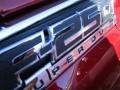 2016 Ruby Red Metallic Ford F250 Super Duty Platinum Crew Cab 4x4  photo #3