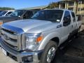 Ingot Silver Metallic - F250 Super Duty XLT Crew Cab Photo No. 2