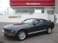 2007 Alloy Metallic Ford Mustang V6 Deluxe Coupe  photo #1