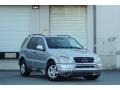 2001 Brilliant Silver Metallic Mercedes-Benz ML 320 4Matic  photo #7