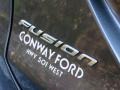 2016 Magnetic Metallic Ford Fusion SE  photo #6