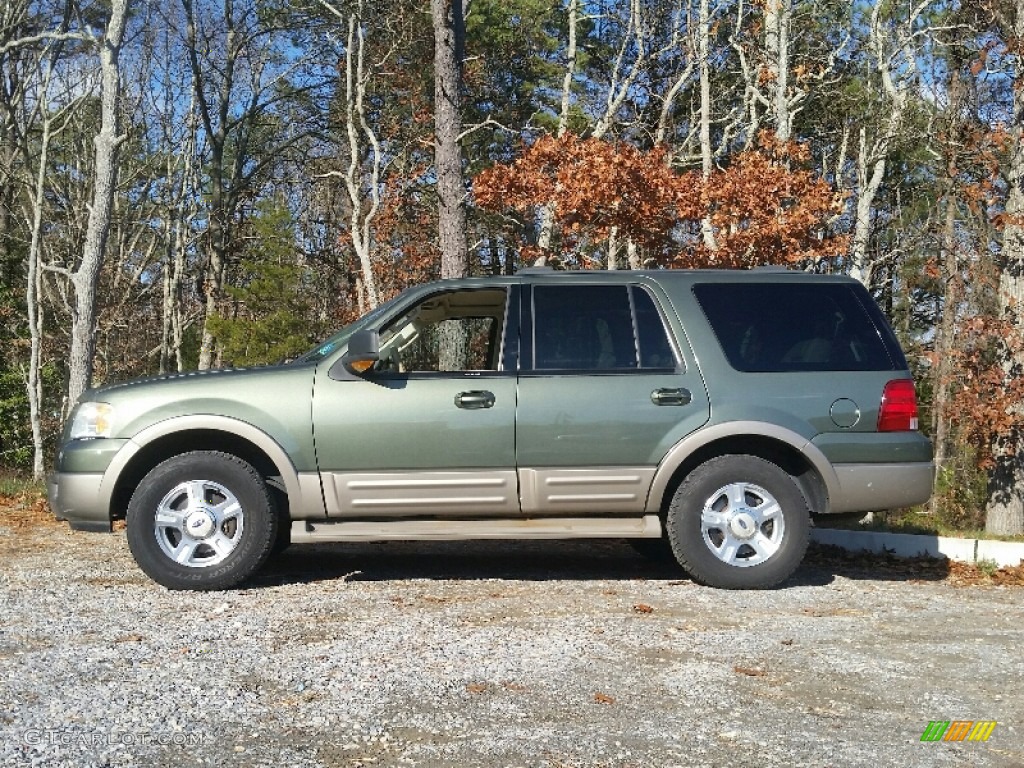 2003 Expedition Eddie Bauer 4x4 - Estate Green Metallic / Medium Parchment photo #2