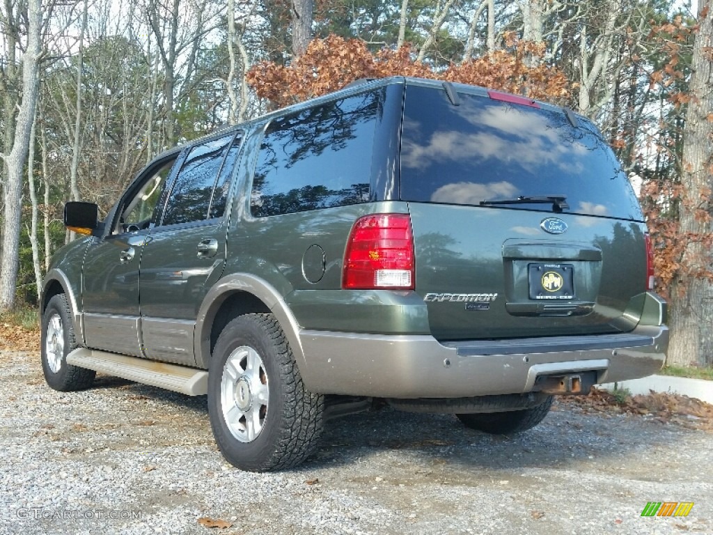 2003 Expedition Eddie Bauer 4x4 - Estate Green Metallic / Medium Parchment photo #3