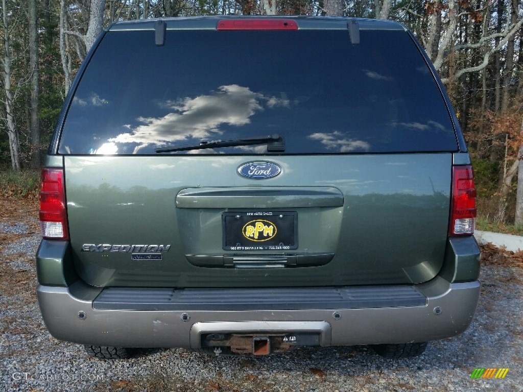 2003 Expedition Eddie Bauer 4x4 - Estate Green Metallic / Medium Parchment photo #4