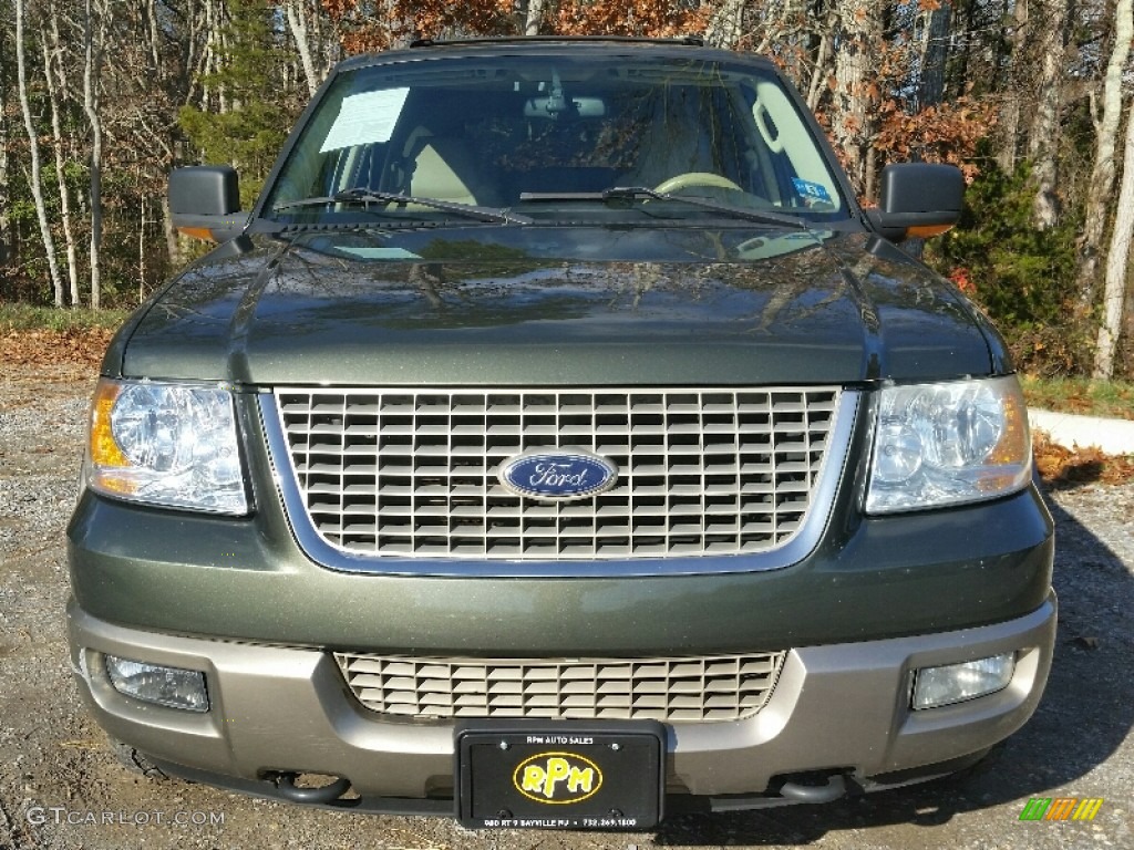 2003 Expedition Eddie Bauer 4x4 - Estate Green Metallic / Medium Parchment photo #5