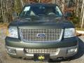 2003 Estate Green Metallic Ford Expedition Eddie Bauer 4x4  photo #5