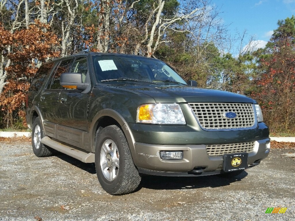 2003 Expedition Eddie Bauer 4x4 - Estate Green Metallic / Medium Parchment photo #6