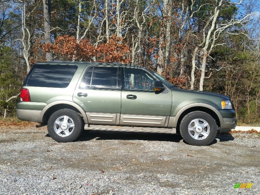 2003 Expedition Eddie Bauer 4x4 - Estate Green Metallic / Medium Parchment photo #7
