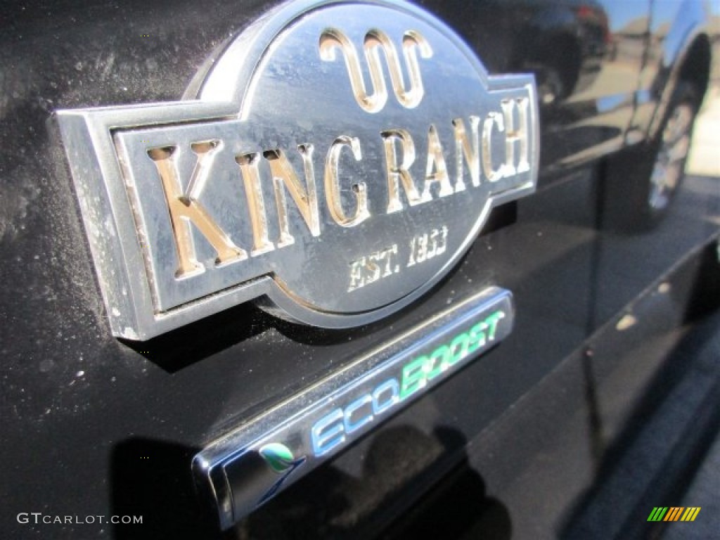 2016 F150 King Ranch SuperCrew 4x4 - Shadow Black / King Ranch Java photo #4
