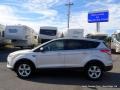 Ingot Silver - Escape SE 2.0L EcoBoost Photo No. 2