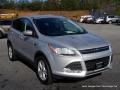Ingot Silver - Escape SE 2.0L EcoBoost Photo No. 7