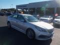Symphony Silver - Sonata Sport Photo No. 1