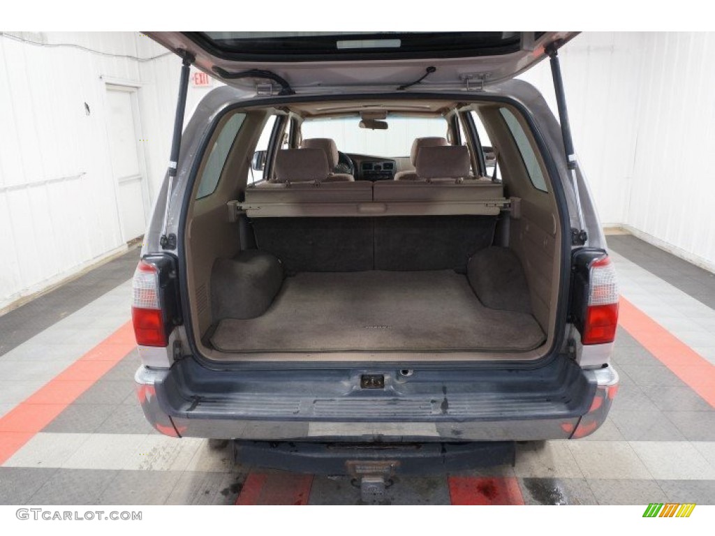 1999 4Runner SR5 4x4 - Millennium Silver Metallic / Oak photo #20