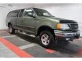 2003 Estate Green Metallic Ford F150 XLT SuperCab 4x4  photo #6