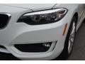 2015 Alpine White BMW 2 Series 228i xDrive Coupe  photo #30