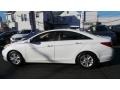 Shimmering White - Sonata GLS Photo No. 7