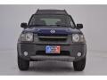 Just Blue Metallic - Xterra SE V6 4x4 Photo No. 2