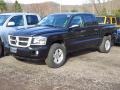 Brilliant Black Crystal Pearl - Dakota Big Horn Crew Cab 4x4 Photo No. 3