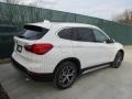 Alpine White - X1 xDrive28i Photo No. 4