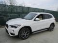 Alpine White - X1 xDrive28i Photo No. 8