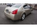 Coral Sand Metallic - Maxima 3.5 SE Photo No. 4