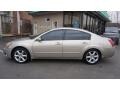 Coral Sand Metallic - Maxima 3.5 SE Photo No. 6