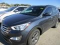 Marlin Blue - Santa Fe Sport  Photo No. 2