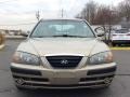 2006 Champagne Beige Hyundai Elantra GT Hatchback  photo #2