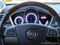 Platinum Ice Tricoat - SRX V6 Photo No. 20